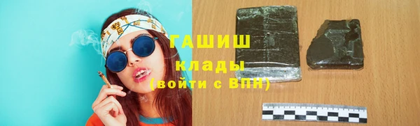 мдпв Ладушкин
