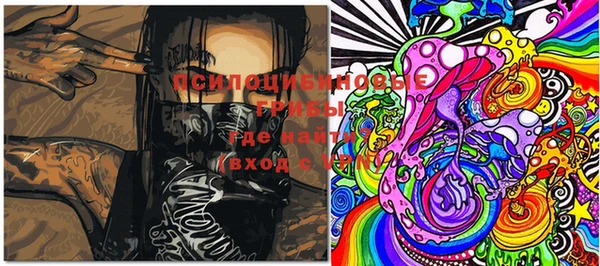 мдпв Ладушкин
