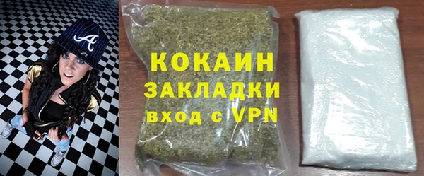 мдпв Ладушкин