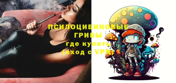 мдпв Ладушкин