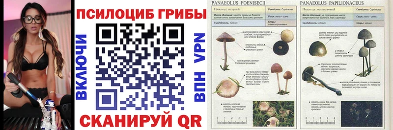 Псилоцибиновые грибы ЛСД  Чёрмоз 
